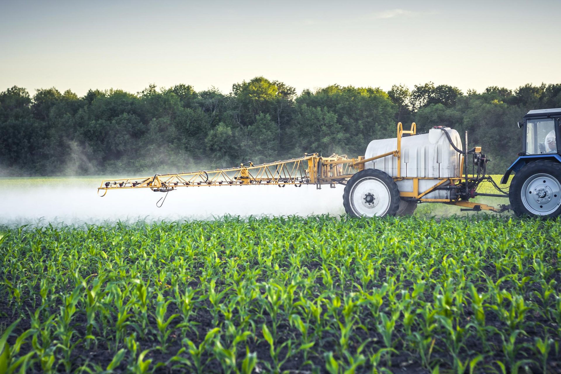 Agriculture